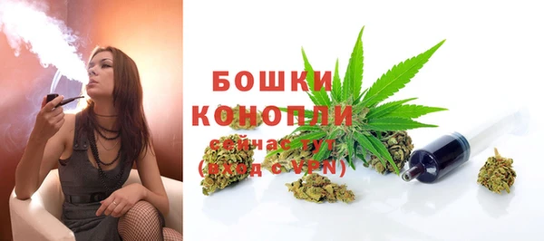 mdpv Белокуриха