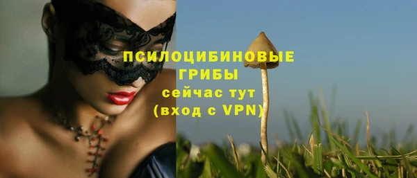 гашик Белоозёрский