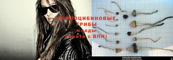гашик Белоозёрский