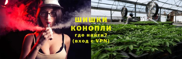 mdpv Белокуриха