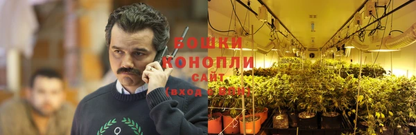 гашик Белоозёрский