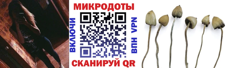 купить наркотик МЕГА как войти Псилоцибиновые грибы Cubensis Кстово